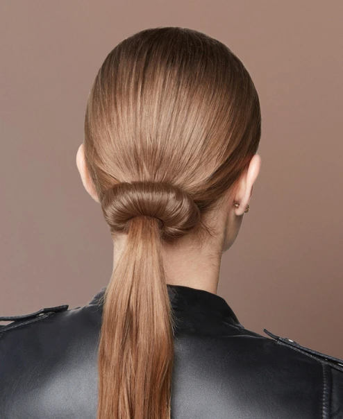Elegante Cola de Caballo