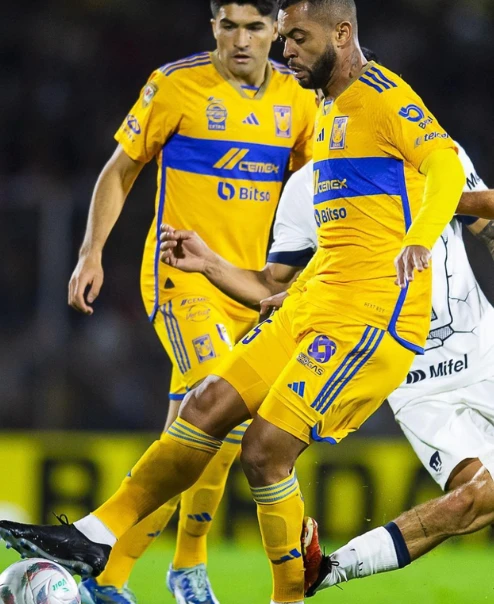 Los Tigres vencen a los Pumas 1-0