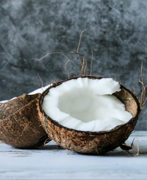 Coco para hacer la leche de coco | Qué Onda
