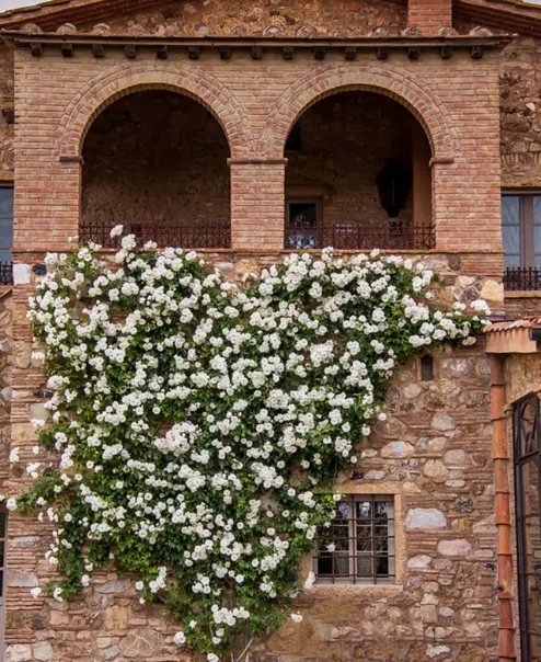 Relais Sant'Elena | Qué Onda