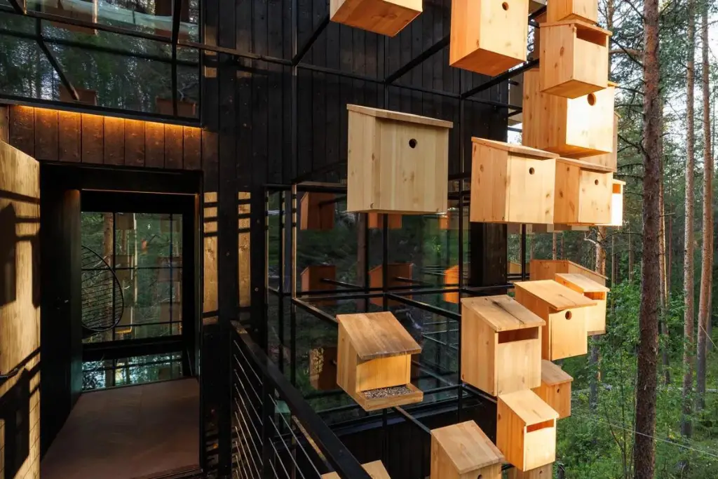 Treehotel | Biosphere Interior Image 2 | Qué Onda
