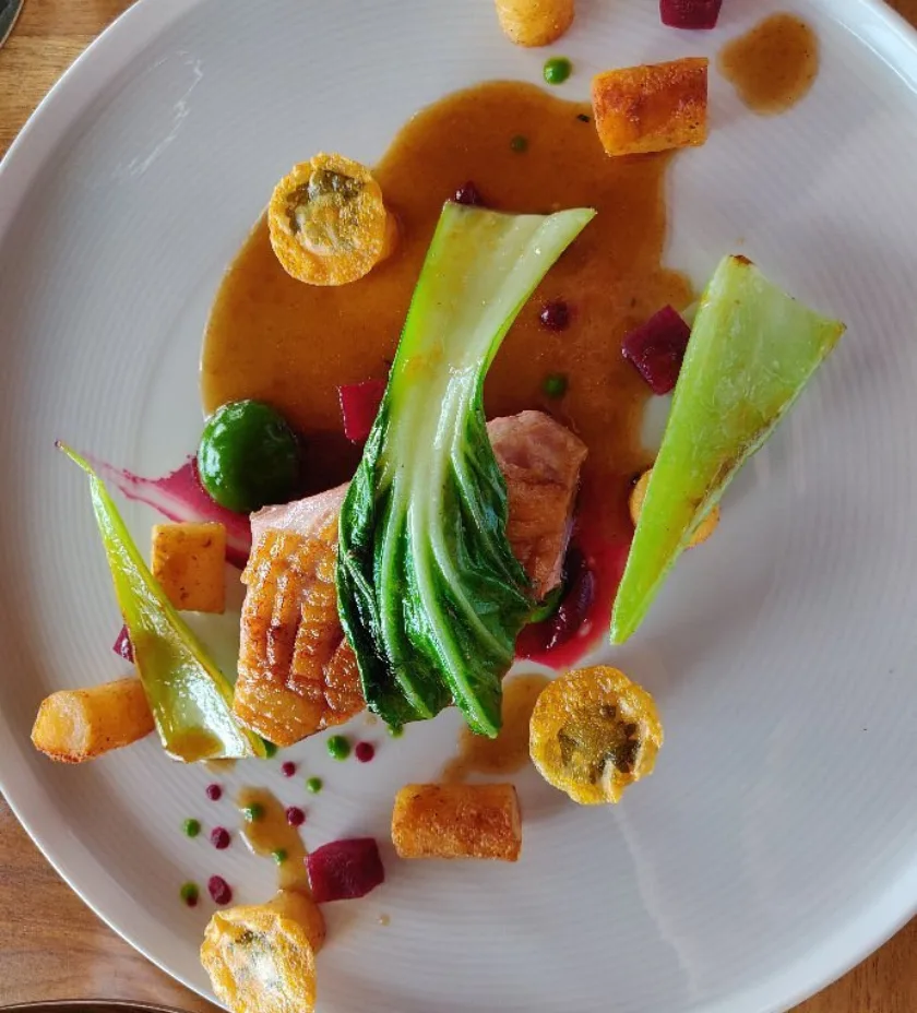 Origins Lodge Organic Cuisine Imagen 1 | Qué Onda