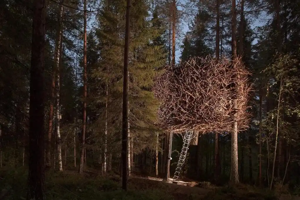 Treehotel |  Bird's Nest | Qué Onda