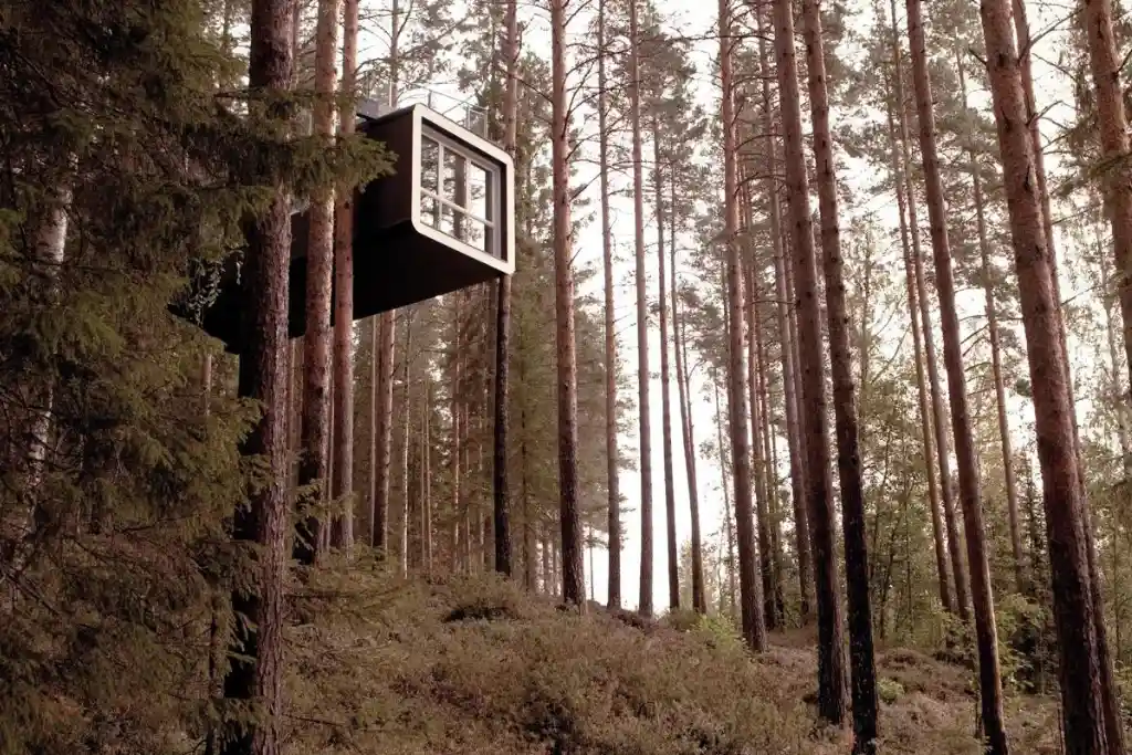 Treehotel | The Cabin | Qué Onda