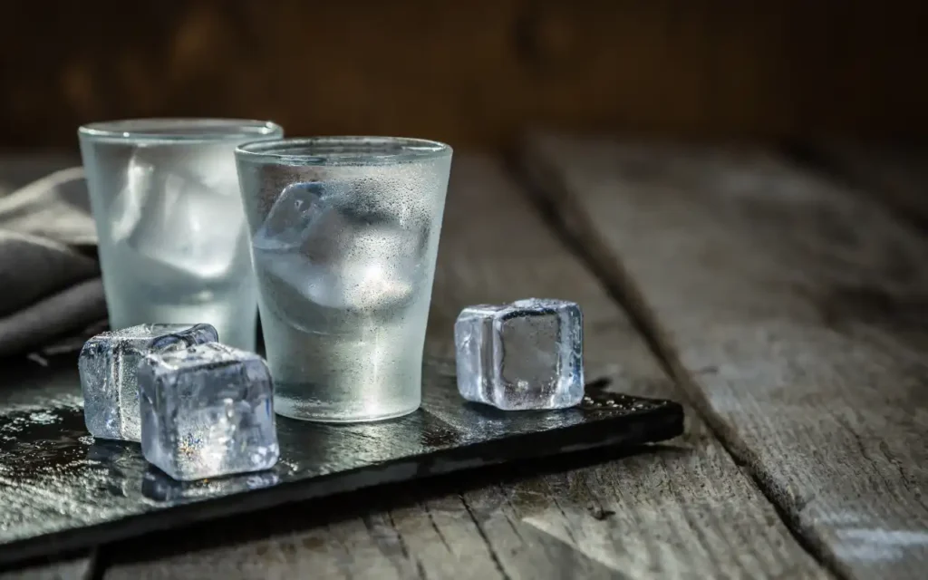 Vodka: sabor y versatilidad | Qué Onda |