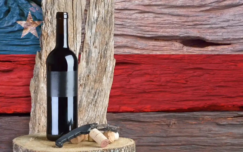 Vino en Chile El secreto mundial del vino con sabor y calidad | Qué Onda |