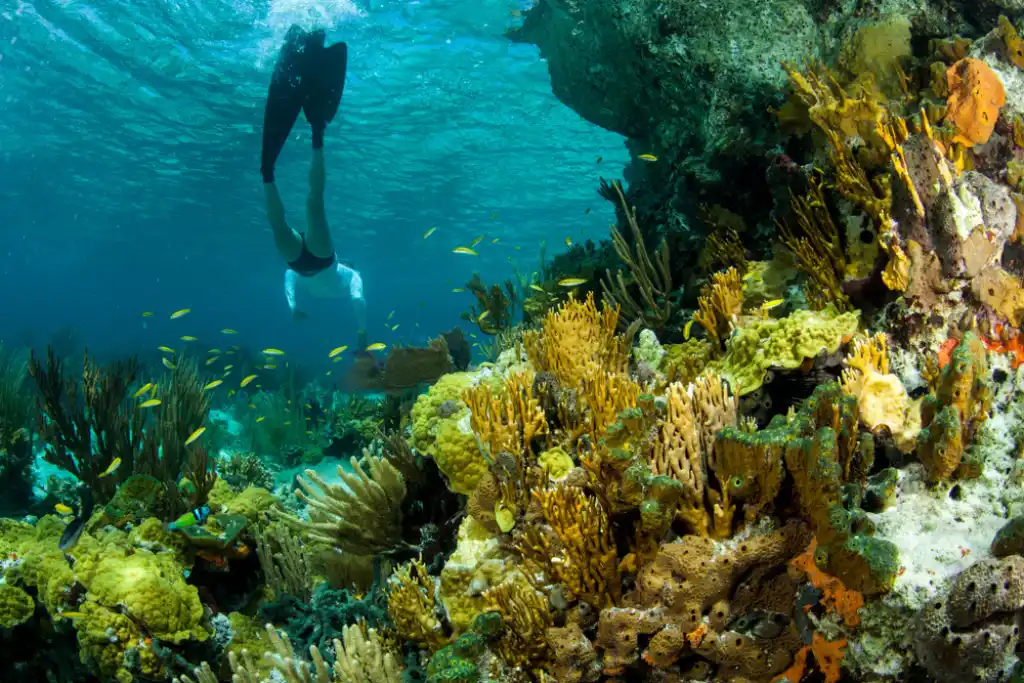 Exumas, Bahamas | Qué Onda