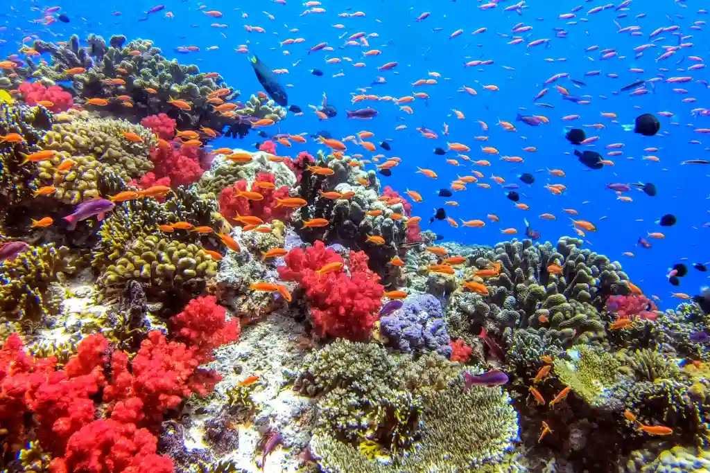 Islas Mamanuca, Fiji | Qué Onda