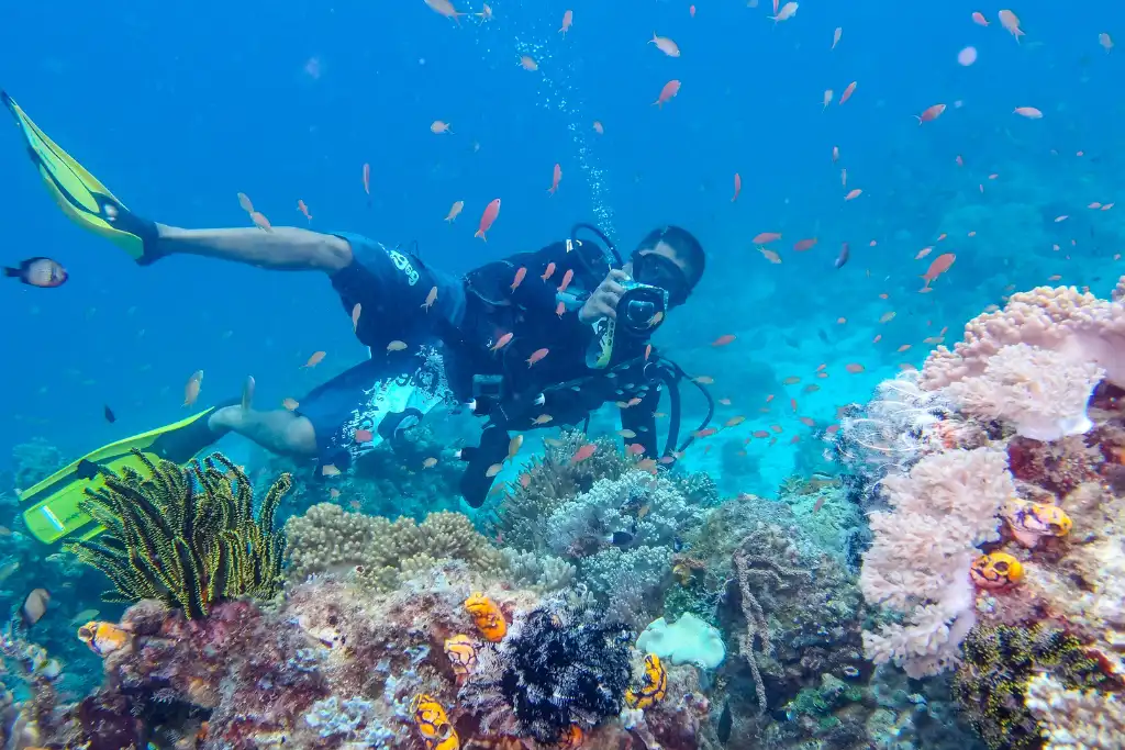 Sipadan, Malaysia | Qué Onda