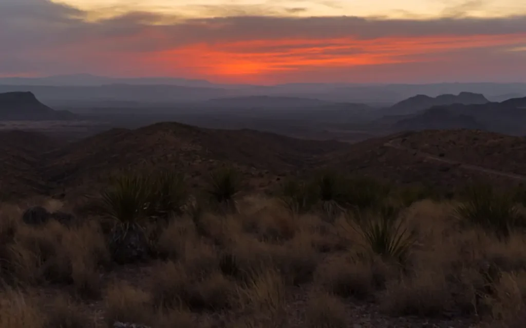 Sotol: Tradición destilada en el desierto | Qué Onda |