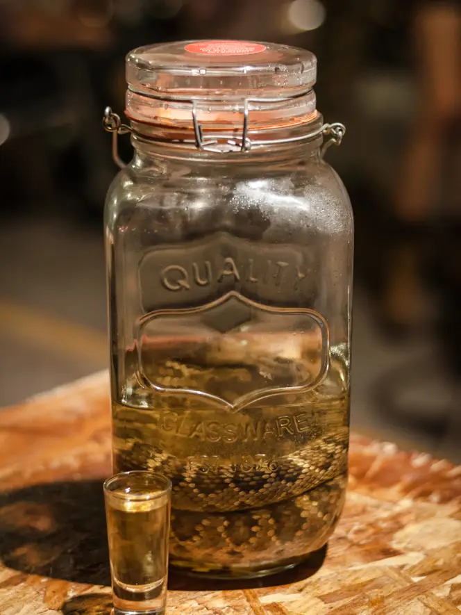 Sotol: Tradición destilada en el desierto | Qué Onda |