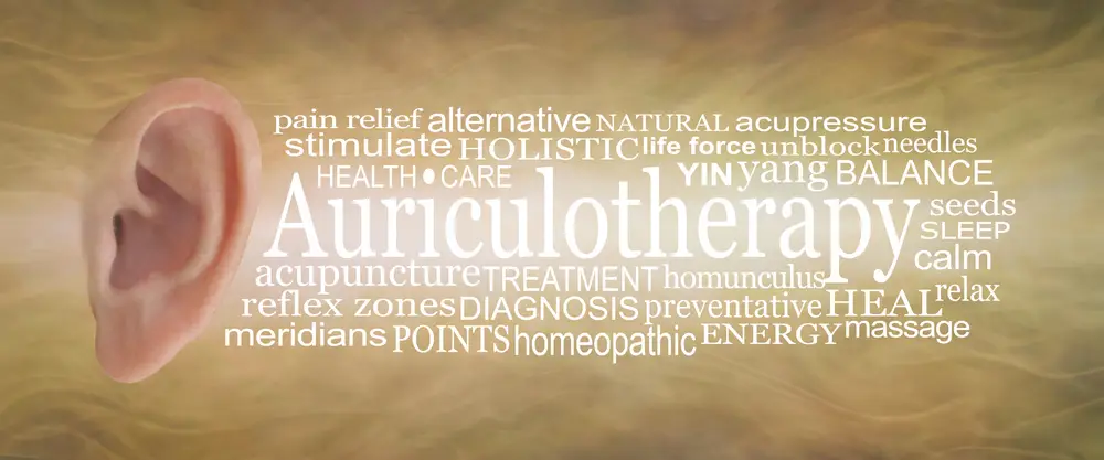 La auriculoterapia es útil para fisioterapeutas | Qué Onda |