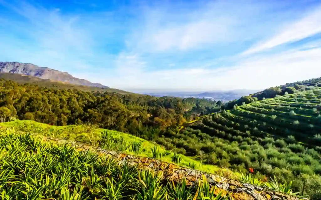Vino, cultura y gastronomía en Aguascalientes 2024 | Qué Onda |