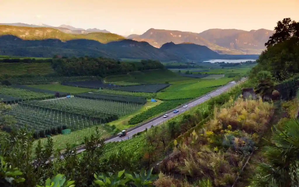 Vino, cultura y gastronomía en Aguascalientes 2024 | Qué Onda |