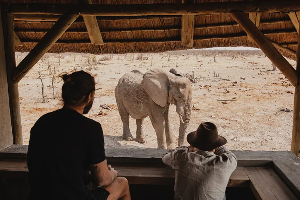 Safari en Namibia | Qué Onda